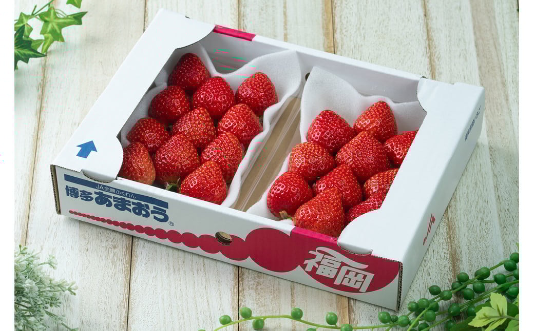 福岡産【冬】 あまおう 2パック いちご 苺 果物 フルーツ 福岡 太宰府