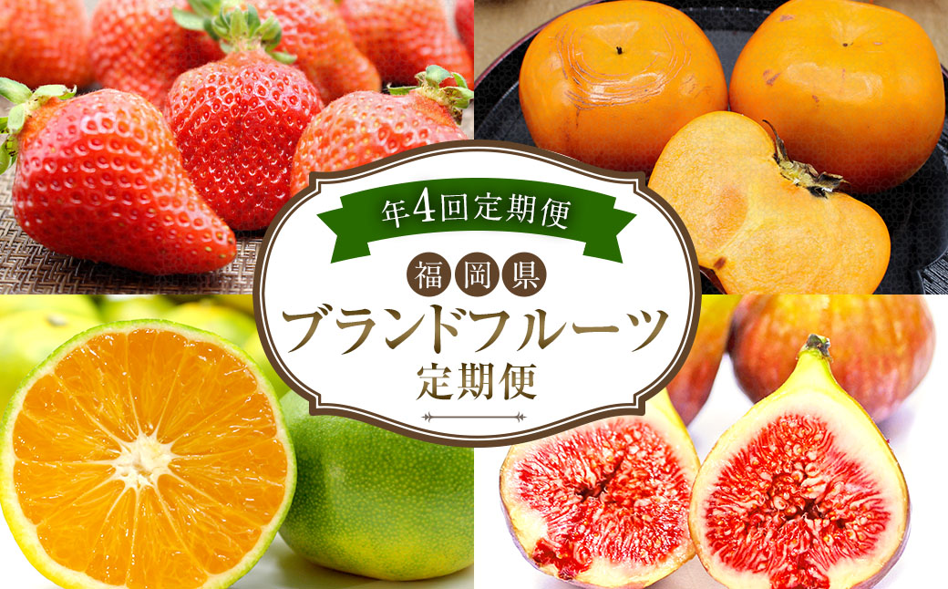 【4回定期便】福岡県ブランドフルーツ定期便