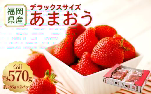 うるう農園 あまおう DX等級 2パック