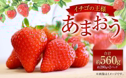 福岡県産 あまおう 約280g×2パック