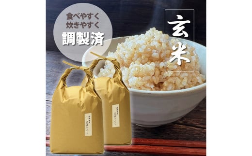 [令和6年産]福岡県産 [特A]評価のお米「元気つくし」5kg×2袋(10kg)[2024年11月下旬より順次発送]玄米 お米 米