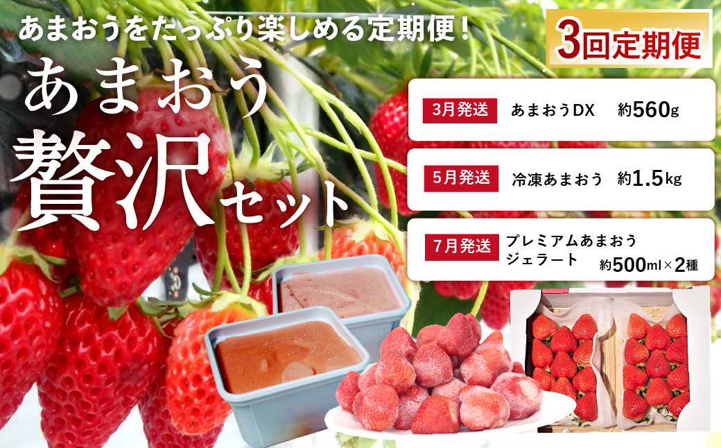 [2024年3月上旬より発送開始][予約受付・3回定期便]あまおう 贅沢セット いちご イチゴ フルーツ 果物