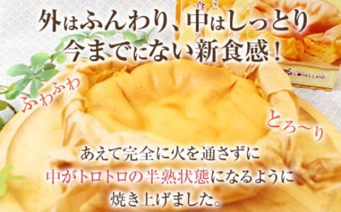 半熟カステラ（プレーン）＜３個セット＞【ロハス】