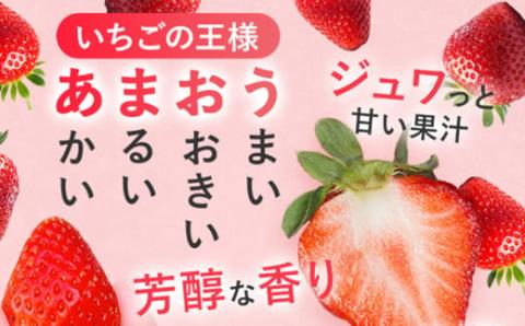 冷凍いちご（あまおう）１キロ