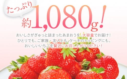 【2026年2月～2026年3月順次発送】あまおう 合計約1,080g 約270g×4パック DX
