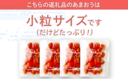  訳あり 小粒あまおう 合計約1240g 約310g×4パック【2026年2月より順次発送】