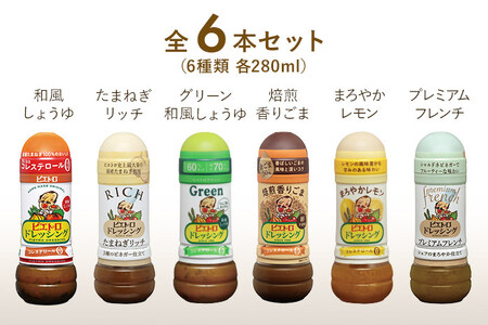 人気不動のドレッシング6本セット