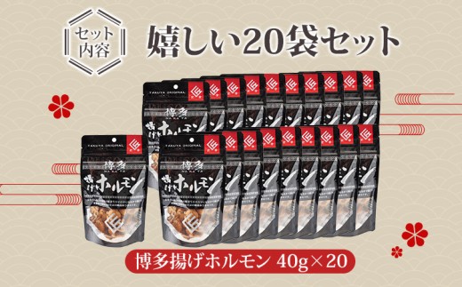  博多揚げホルモン　20袋