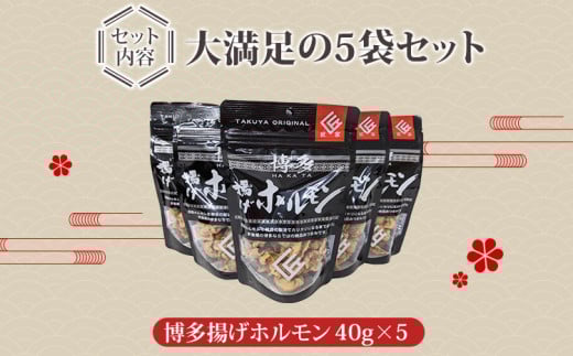 揚げホルモン（5袋セット）