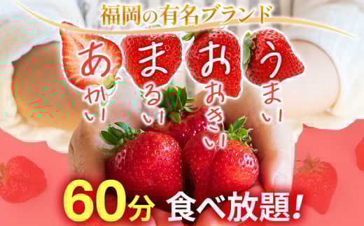 ６０分食べ放題！いちご狩りチケット！＜大人１名様分×４枚＞