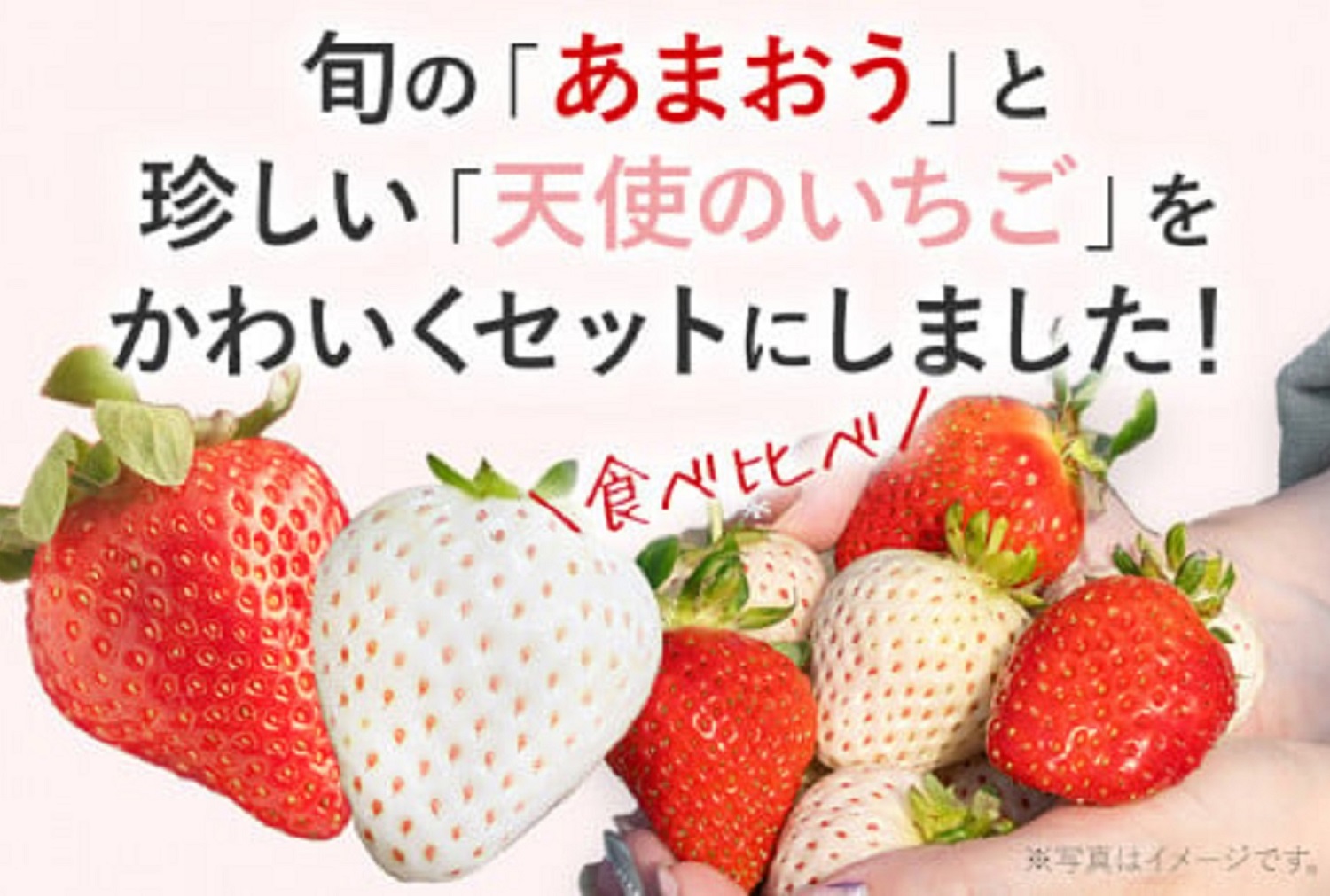 紅白いちごセット(あまおうと天使のいちご)