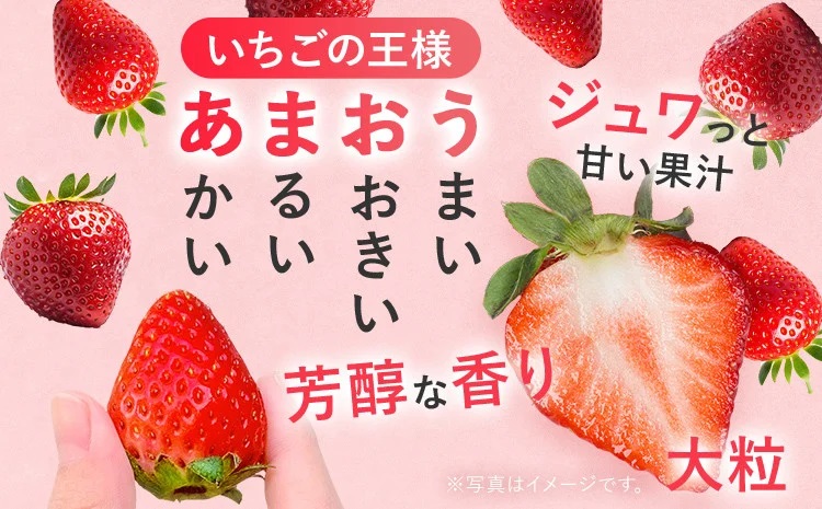 プレミアムあまおうEX (ティッシュボックス用特別仕様の桐箱入り）いちご フルーツ 果物 あまおう 約400g×1パック