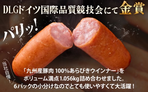 ボリューム1.056kg！九州産豚肉100％あらびきポークウインナーセット