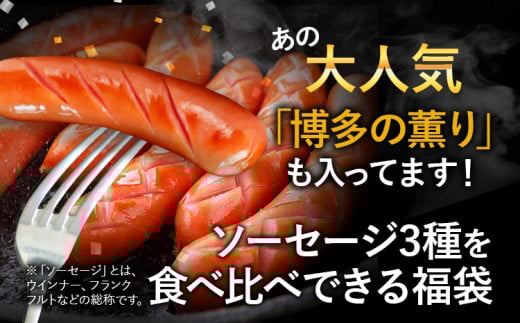 訳あり！ソーセージ食べ比べまんぷく福袋 合計2.5kg