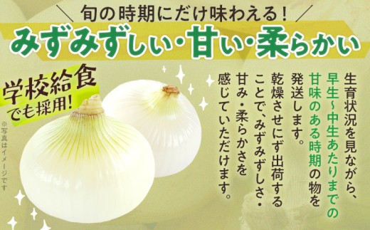 古賀市産玉ねぎ　2kg