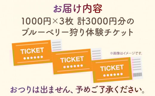 ブルーベリー狩り体験 ブルーベリー60分食べ放題チケット！
