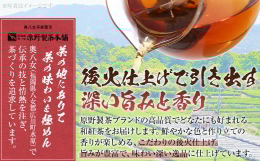 八女茶 和紅茶ティーバッグ 50個（2g×50個入）