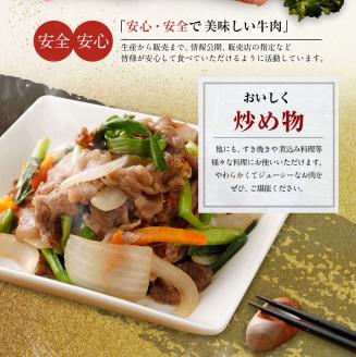 博多和牛　切り落とし（６００ｇ）　(有)ヒロムラ