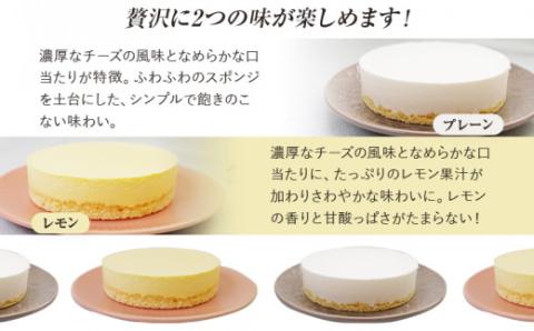 レアチーズケーキセット（プレーン＋レモン）