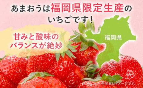 冷凍いちご（あまおう）１キロ