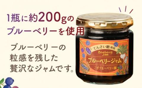 ブルーベリージャム（2個）＆ビネガー（1本）セット