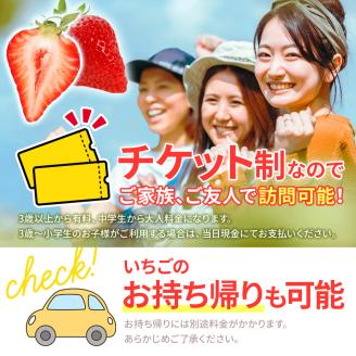 ６０分食べ放題！いちご狩りチケット！（大人１名様分×１枚）