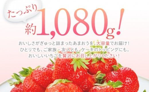 【2026年1月下旬～2月順次発送】あまおう 合計約1,080g 約270g×4パック
