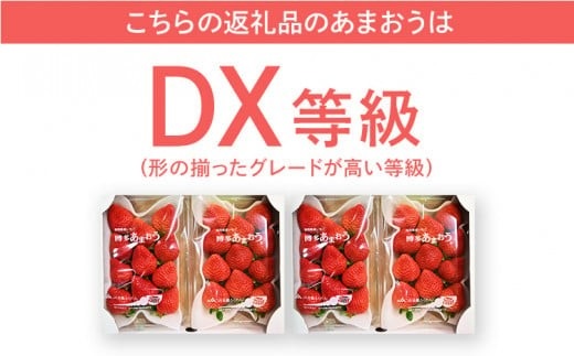 【2026年2月～2026年3月順次発送】あまおう 合計約1,080g 約270g×4パック DX