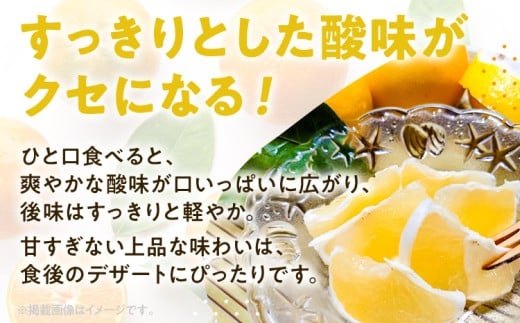 ニューサマーオレンジ（日向夏）約5kg