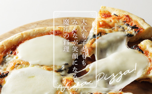 博多辛子明太子とフレッシュモッツァレラ　3枚セット