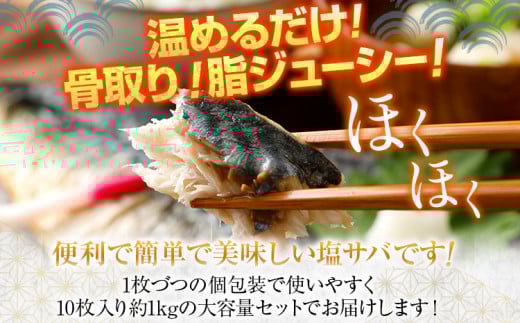 焼き塩さばフィーレ（骨取り）20枚