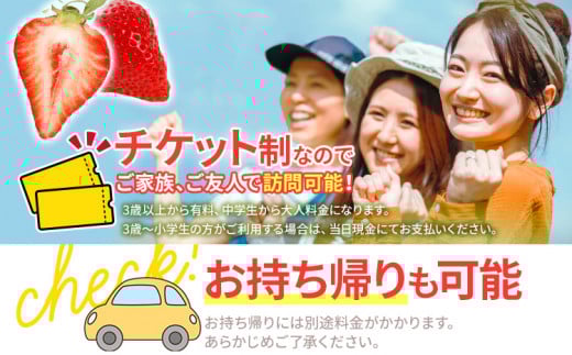 ６０分食べ放題！いちご狩りチケット！＜大人１名様分×３枚＞