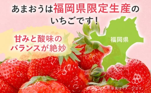 【2026年2月上旬より順次発送】 大粒あまおう 2パック