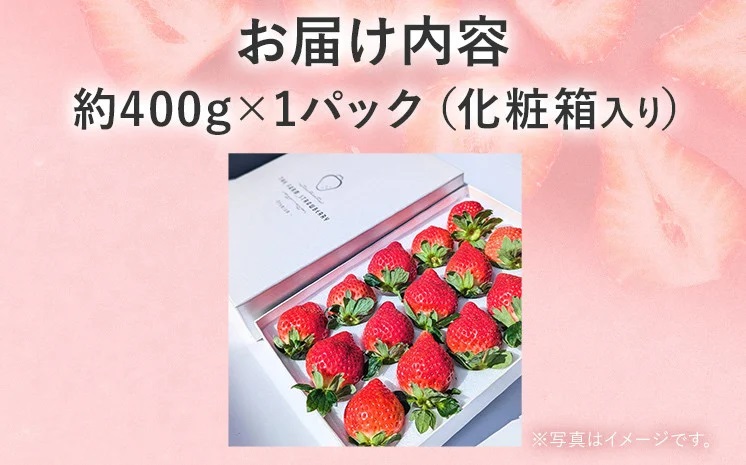 プレミアム あまおう EX（化粧箱入り）いちご フルーツ 果物 あまおう 約400g×1パック