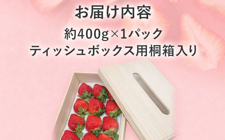 プレミアムあまおうEX (ティッシュボックス用特別仕様の桐箱入り）いちご フルーツ 果物 あまおう 約400g×1パック