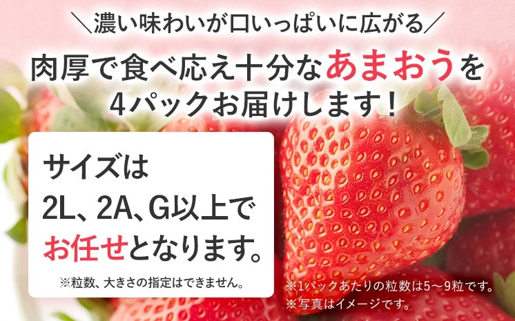 産地直送厳選あまおう 4パックセット（G,2L,2A規格以上）約270g×4パック
