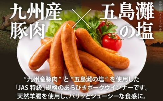 ボリューム1.056kg！九州産豚肉100％あらびきポークウインナーセット