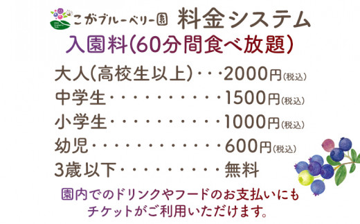 ブルーベリー狩り体験 ブルーベリー60分食べ放題チケット！
