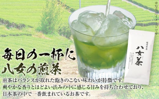 福岡 八女茶 煎茶 200g（100g×2袋）