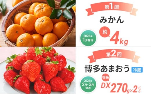  【定期便 3回発送】果物定期便B 2025