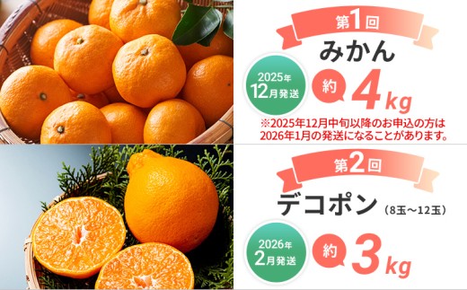  【定期便 6回発送】果物定期便C 2025