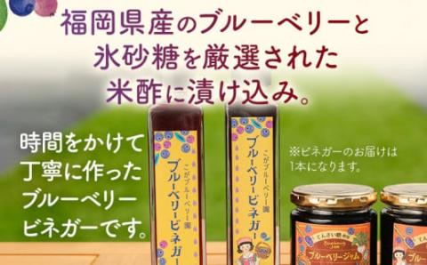 ブルーベリージャム（2個）＆ビネガー（1本）セット