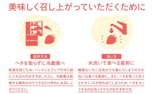 【2026年2月～3月順次発送】あまおう 合計約800g 約400g×2パックEX