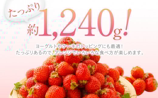  訳あり 小粒あまおう 合計約1240g 約310g×4パック【2026年2月より順次発送】