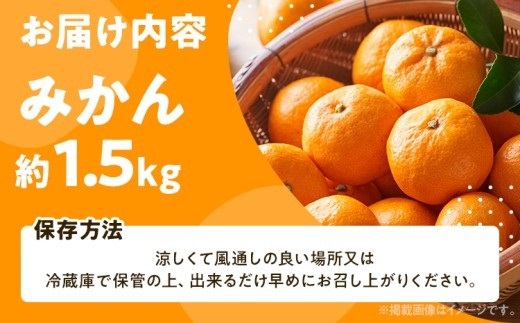みかん 約1.5㎏