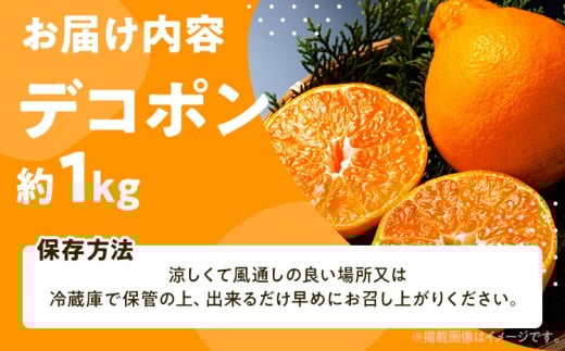 デコポン約1kg