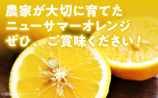 ニューサマーオレンジ（日向夏）約1.5kg