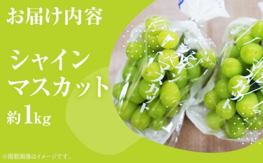シャインマスカット約1kg