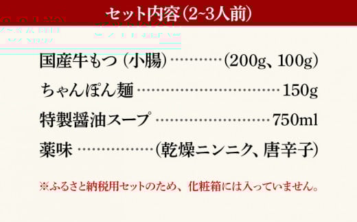鶏家特選もつ鍋セット2～3人前（ふるさと納税限定セット）