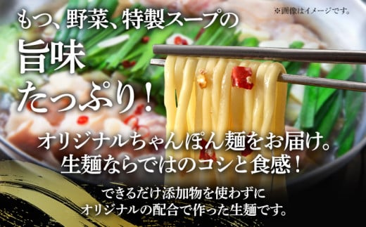 鶏家特選もつ鍋セット（３～４人前×３セット）